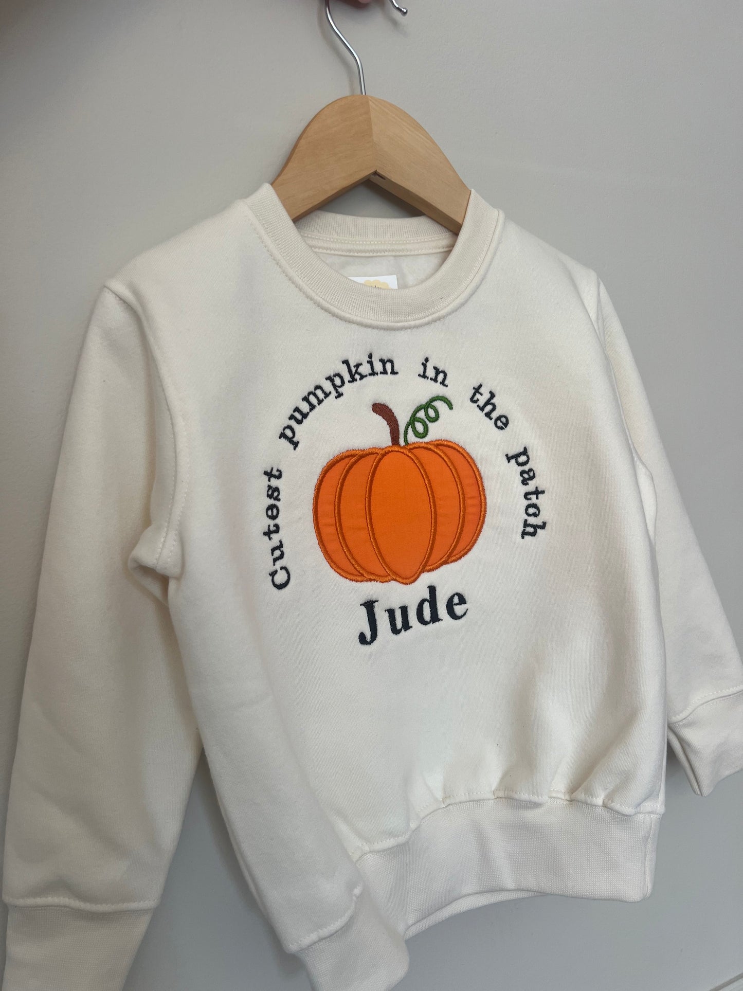 Pumpkin Applique Sweatshirt